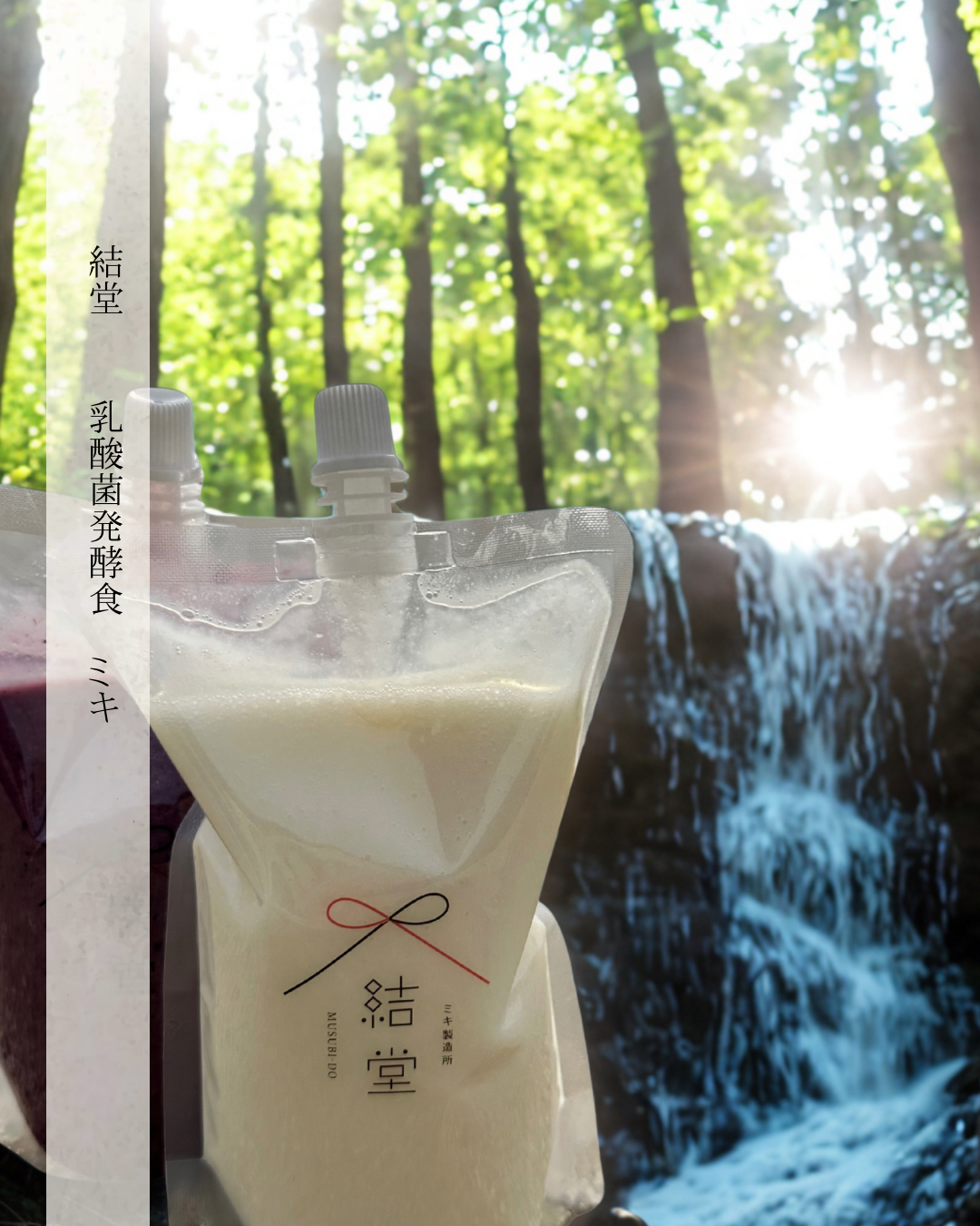 乳酸菌発酵食品”ミキ”